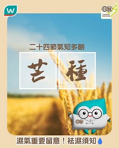 【二十四節氣知多啲 - 芒種🌾】​ ​ 🌾芒種係二十四節氣之一。喺中醫角度，芒種標誌著夏季正式開始，氣溫逐漸升高🌡️⬆️，而且雨量充沛🌧️。芒種期間濕熱之氣較重，容易影響脾胃功能，導致消化不良、腹瀉🤢、倦怠乏力😪等。今年嘅6月5號就係芒種，▶️即刻睇片，屈臣氏註冊中醫師詳細教你飲食注意🍽️⚠️同埋穴位按摩🎯，等你輕鬆應對芒種濕重，幫身體袪濕🫸💧！​ ​ 1️⃣芒種飲食注意​ ✔️以清熱祛濕、健脾養胃為主​ ❌辛辣、油膩及生冷食物​ ​ 2️⃣穴位按摩​ 🎯足三里穴​ 🎯合谷穴​ 🎯內關穴​ ​ 3️⃣產品選擇： bit.ly/4dQu3F4 ✔️針對濕氣重​ ✔️幫助調理脾胃​ ​ 提提大家，服用任何中藥、中成藥或含中藥成份的保健品前，記得可以去到門市或者透過「屈臣氏隨時chat」諮詢註冊中醫師嘅意見➡️ bit.ly/3Sxeubm #hkwatsons #LookGoodDoGoodFeelGreat #WatsonsHealth #屈臣氏處處關心您健康 #屈臣氏註冊中醫師 #芒種 | Watsons