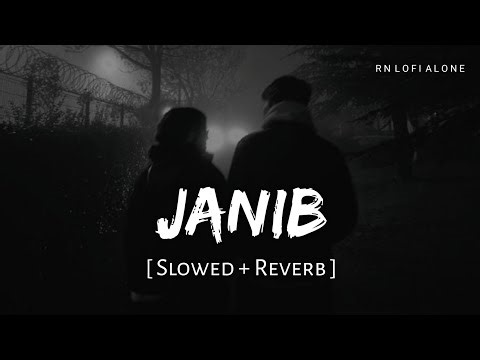 Janib - Lofi (Slowed + Reverb) | Arijit Singh, Sunidhi Chauhan | RN Lofi Alone