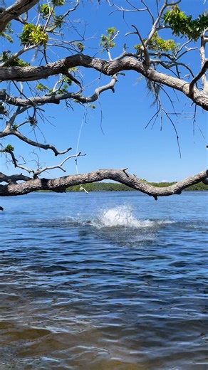 One of the many places on the Little Manatee River to enjoy yourself with the family. | Little Manatee River Living | Facebook