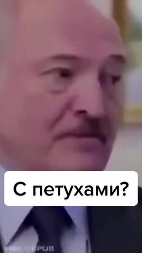 #лукашенко #таракан #живебеларусь #славаукраїні #аясейчасвампокажу #fyp