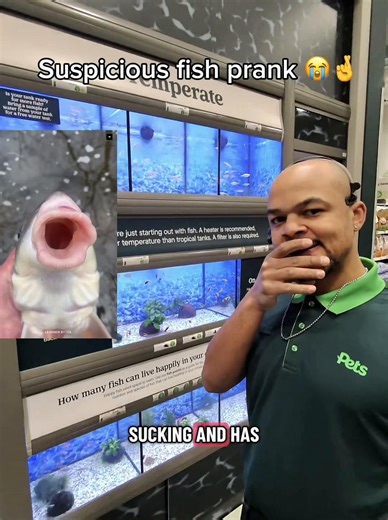 Suspicious Fish Prank: The Ultimate Troll