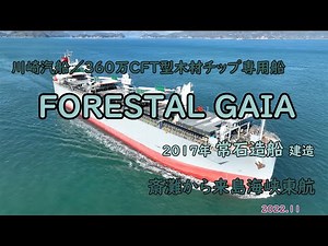 川崎汽船／360万CFT型木材チップ専用船 「 FORESTAL GAIA 」燧灘から来島海峡東航