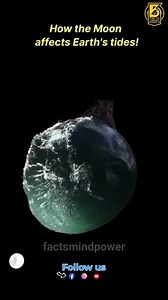How the moon affects Earth's tides! | AMAZON MOON | #moon #facts #viral #earth | Facts Mind Power