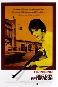 Dog Day Afternoon | Cast and Crew | Rotten Tomatoes