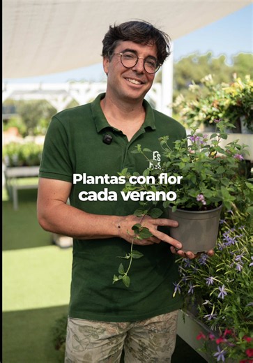 Flores para todo el verano: las mejores plantas para jardines soleados