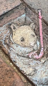 The emergence of Herman's mini snorkel vacation: | David Zinn