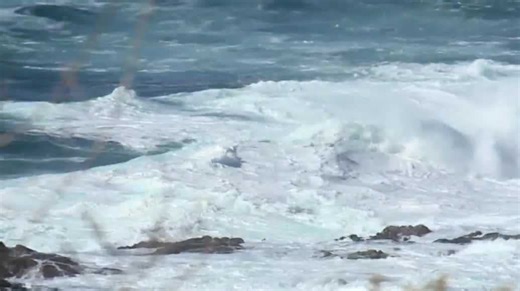 DLI student swept to sea at Soberanes Point identified by Monterey County Sheriff's Office