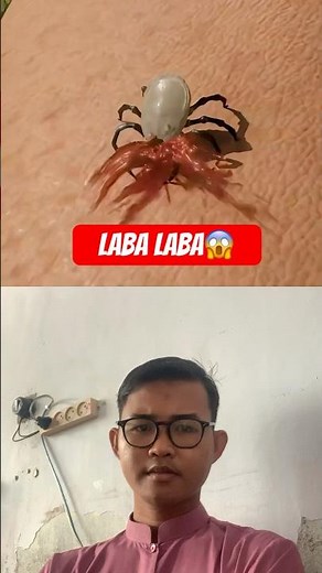 Spider #tutorial #shortfilm #storyline