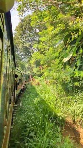 World’s Most Scenic Train Journey 🚂💙 | Kandy to Ella | Cinematic Travel Short