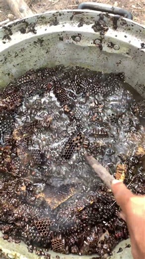 Old Beeswax to New Use 🐝 | Smart Beekeeper Wax Recycling Tips