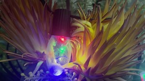 Christmas Pathway String Lights Outdoor- LED 24.5ft Christmas Path Marker Light with 20 C9 Christmas Tree Light Bulbs Decor, Connectable Waterproof Walkway Lights with Stakes for Xmas Lawn Yard Garden