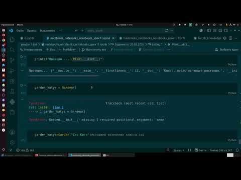 A girl wrote a full-fledged collection in Python from scratch in two months. How did this happen?