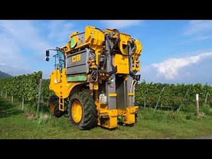 Herrengut St.Martin Weinlese am Kapellenberg mit Gregoire G8-270