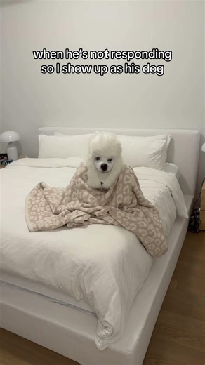 I’m getting imPAWtient at this point 🙄