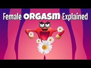 Female's Best Day Explained | Organismo