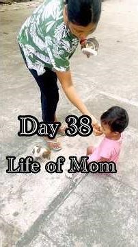 LOM day 38/365 | Daily mini vlog #shorts #shortvideo #minivlog