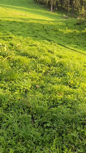 467 reactions · 23 comments | E clar ... vrea sa se dea pe #specialized . Sau să se tragă in poza cu bike-ul ?!? | Sergiu Olteanu | Facebook