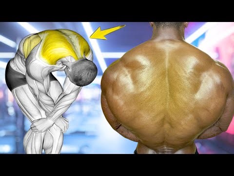 📈 Grow Your Back – The Only Workout You Need 💪