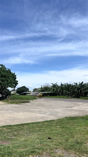 MARSHALLING #foryou #foryourepage #aviationstudent #aircraftmechanic #viral