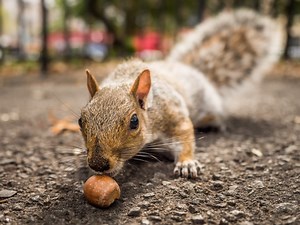 Profondeur de champ : comment faire du flou ?