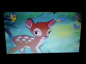 Opening To Tarzan 2000 DVD