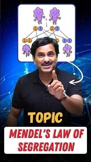 Mendel’s Law Of Segregation | Explained 💯 #studytips #facts #genetics #science #shortsviral #bio