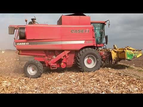 Case ih 2188 vrsidba kukuruza 2025 harvesting corn