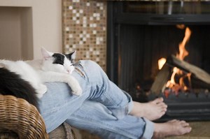 Pourquoi mon chat dort entre mes jambes ? - 7 RAISONS !