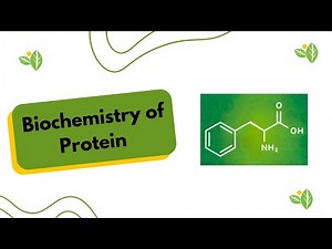 Biochemistry of Protein | RD Exam Ready Podcast