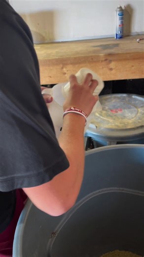 How to Properly Soak Feed for Show Pigs