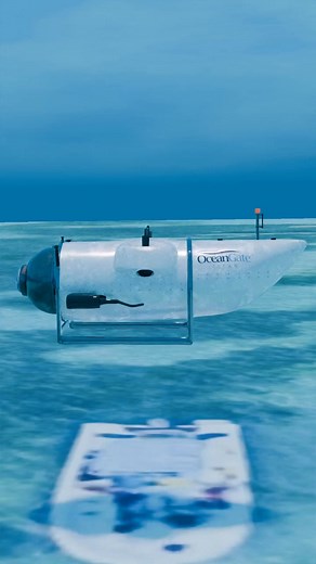 17K views · 40 reactions | The Game Controller Submarine Disaster  #short #shorts #viralvideo #shortsreels #shortsvideos #shortsfeed | The Animated Beat | Facebook