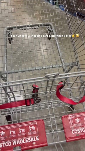 In Costco wheelieing ts cart better than my bikes✌️🫩 #ridstar #electricbike #bikelife #ebike