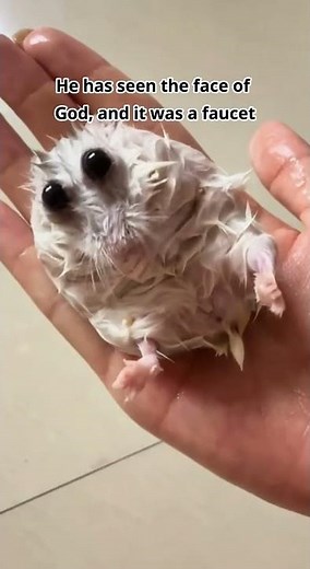 The thousand-yard stare 💀