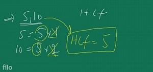 Define Euclids division algorithm clearly... | Filo
