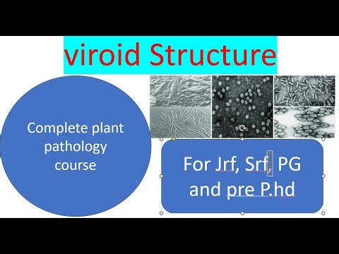 viroid structure and Replication #plantscience #disease #plantpathology #plants #jrf #new #virus