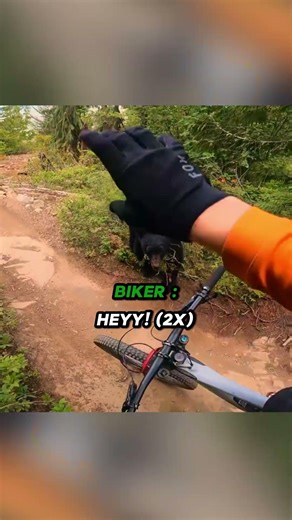 Biker Runs Into Crazy Bear! 😳
