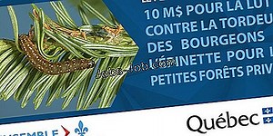 Rôles Et Responsabilités De La Gestion De Programme | Description du poste - 2026