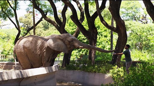 A zoo with no animals could be the future