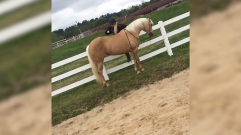 That's Not How You Do It