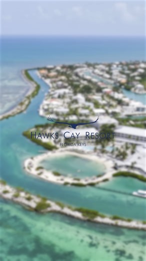 “Where I want to be for the holidays this year…” Hawks Cay Resort in the Florida Keys. Trade snow for sunshine and book your holiday getaway now: https://www.hawkscay.com/ | Hawks Cay Resort