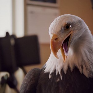 Enjoy wait-free Internet & Contour TV with no contract w/ the Cox Bundle at $89.99/mo. | Cox