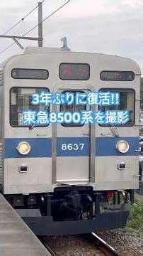 3年ぶりに復活した東急8500系を撮影 #東京、#東急、#3年、#復活、#鉄道、#電車、#東急8500系、#東急電鉄、#こども、#こどもの国、#神奈川、#田園都市線、#東京メトロ、#地下鉄