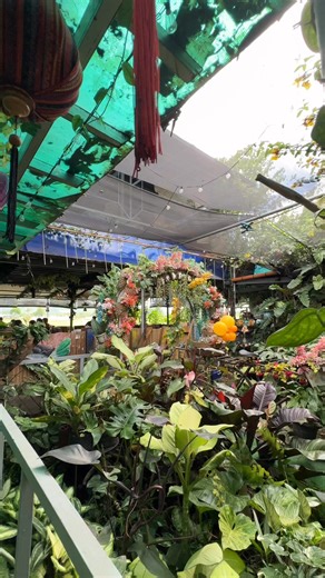 6.9K views · 128 reactions | 퐇퐞퐥퐥퐨, 퐂퐆퐂퐢퐚퐧퐬! ❤️ All eyes are on our...