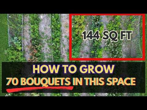 Small Backyard Flower Farming: 4 Crops, 144 Square Feet, 70+ Bouquets
