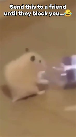 Send this to a friend untill they block your number #xd