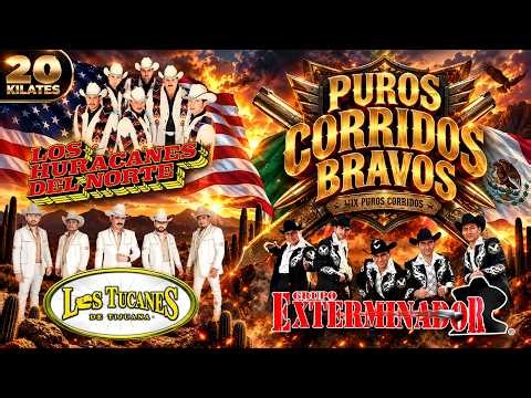 LOS TUCANES DE TIJUANA, LOS HURACANES y EXTERMINADOR – Narco Corridos Prohibidos 🔥