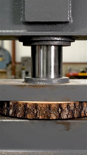 Wood Slice vs Hydraulic Press #crushing #hydraulicpress #viral #trendingnow #asmrfood #ytshorts