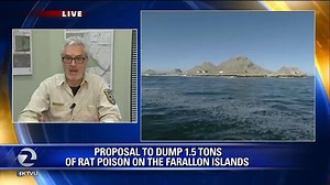 4.8K views · 66 reactions | RODENT PROBLEM: Wildlife officials are...