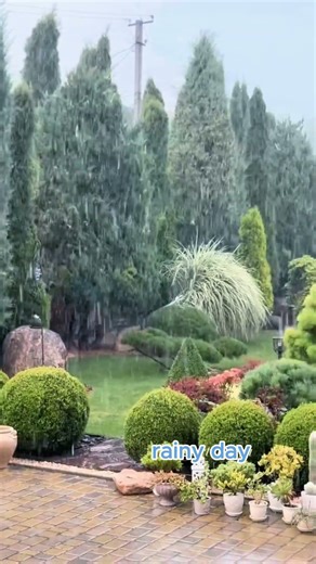 Relaxing in the garden on a rainy day 🌦️🌿 How are you feeling today?