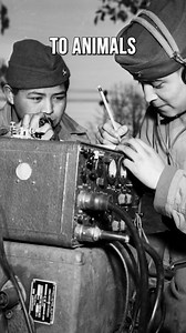 I Couldn't Understand Anything Our Code Talkers Said #veteran #iwojima #history #military #army | American Veterans Center